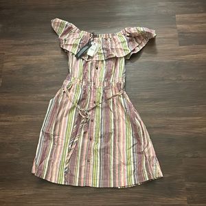 Express Ruffle Off the Shoulder Mini Dress